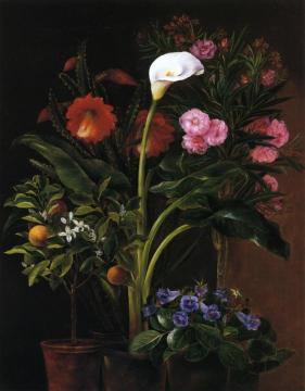 Still Life With Streptocarpus, Oleander, Calla Lily, Cactus Flowers And And Orange Tree Artwork by Louise Garlieb