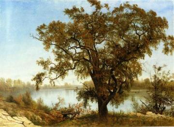 A View from Sacramento Artwork by Albert Bierstadt