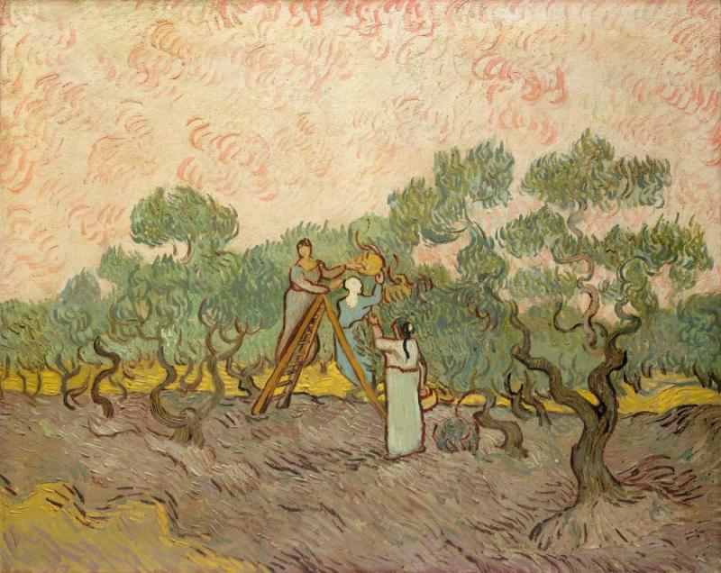 Women Picking Olives, 1889 Artwork by Vincent Van Gogh