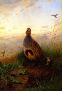 Against the Brightening Dawn Artwork by Archibald Thorburn