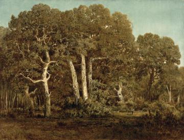 The Great Oaks of Old Bas-Breau Artwork by Théodore Roussel