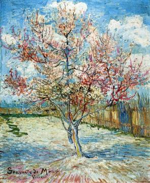 Peach Trees in Blossom Artwork by Vincent Van Gogh
