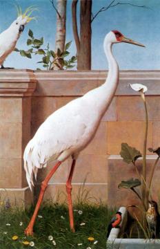 Indian Crane, Bullfinch And Thrush Artwork by Henry Stacy Marks
