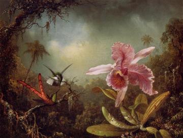 Orchid With Two Hummingbirds Artwork by Martin Johnson Heade