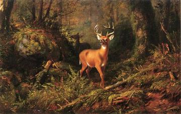 The Adirondacks Artwork by Arthur Fitzwilliam Tait