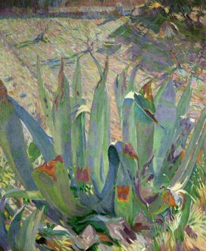Aloes Artwork by William John Leech