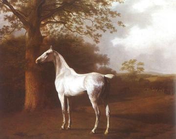 White Horse in Pasture Artwork by Jacques-Laurent Agasse