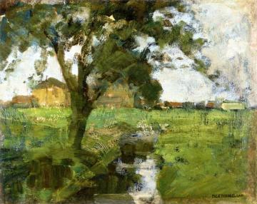Farm Scene With Tree In The Foreground And Irrigation Ditch Artwork by Piet Mondrian