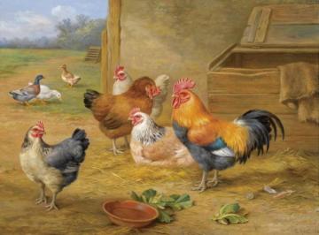 King Of The Roost Artwork by Edgar Hunt