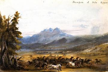 Stampede Of Wild Horses Artwork by Alfred Jacob Miller