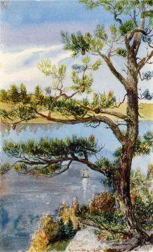 Tree and Sailboat, Lyme, Connecticut Artwork by Charles De Wolf Brownell