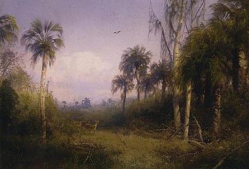 Florida Landscape Artwork by Herman Herzog