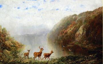 Landscape with Deer and Ducks Artwork by Herman Herzog