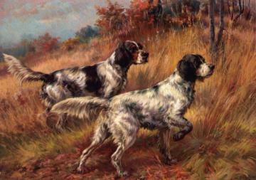 American Llewelyns on Point Artwork by Edmund Henry Osthaus