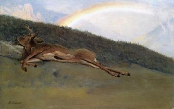 Rainbow over a Fallen Stag Artwork by Albert Bierstadt