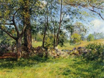 Summer Landscape Artwork by Joseph DeCamp