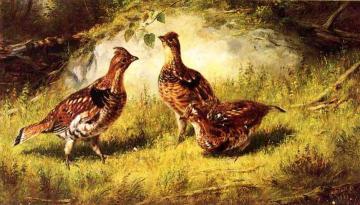 Ruffed Grouse Artwork by Arthur Fitzwilliam Tait