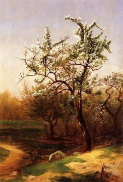 Pear Blossoms Artwork by David Johnson