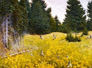 Field Of Wildflowers Artwork by Frank Vincent DuMond