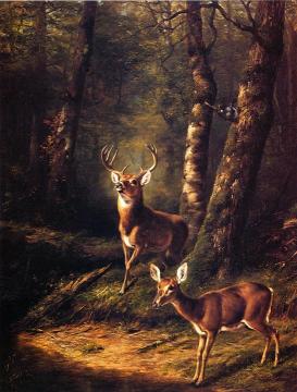 The Forest: Adirondacks Artwork by Arthur Fitzwilliam Tait