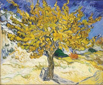 Mulberry Tree Artwork by Vincent Van Gogh