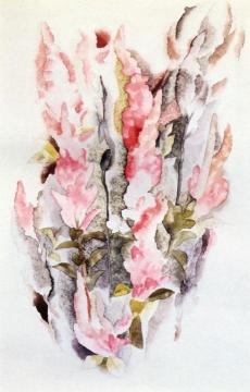 Prince's Feathers Artwork by Charles Demuth