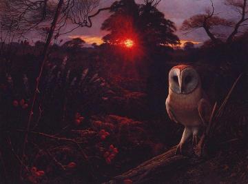 Barn Owl Artwork by Raymond Booth