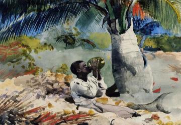 Under the Coco Palm Artwork by Winslow Homer