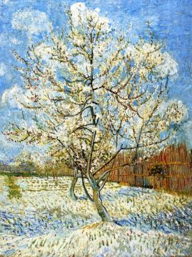Peach Trees in Blossom Artwork by Vincent Van Gogh