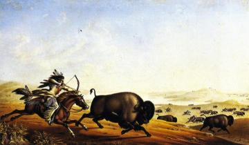 Assiniboin Hunting on Horseback Artwork by Peter Rindisbacher