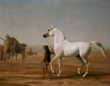 The Wellesley Grey Arabian Led through the Desert Artwork by Jacques-Laurent Agasse