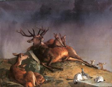 The Highland Nurses Artwork by Edwin Henry Landseer