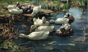 Ducks in a Quiet Pool Artwork by Alexander Koester