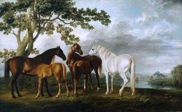 Mares and Foals in a River Landscape Artwork by George Stubbs