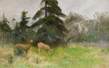 Deer in the summer woods Artwork by Bruno Liljefors