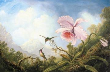 Two Hummingbirds and an Orchid Artwork by Martin Johnson Heade