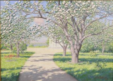 Flowering fruit trees Artwork by Johan Krouthén