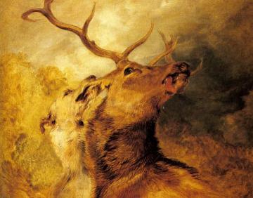 Stag And Hound Artwork by Edwin Henry Landseer