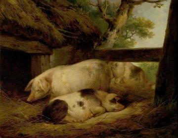 Study of Pigs Artwork by George Morland