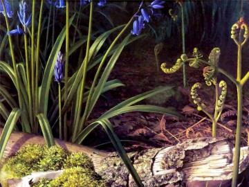 Untitled Artwork by Raymond Booth