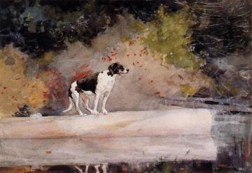 Dog on a Log Artwork by Winslow Homer
