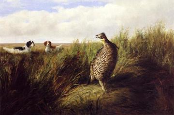 The Challenge Artwork by Arthur Fitzwilliam Tait