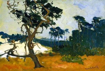 Lone Cypress Artwork by Franz Bischoff