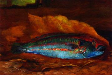 Study of the Parrot Fish Artwork by John La Farge