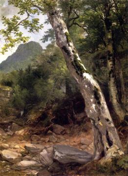 A Sycamore Tree, Plaaterkill Clove Artwork by Asher B. Durand