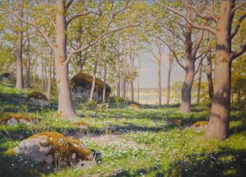 Spring Landscape Artwork by Johan Krouthén