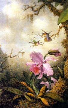 Hummingbirds And Orchids Artwork by Martin Johnson Heade