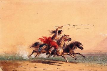 Lassoing Wild Horses Artwork by Alfred Jacob Miller