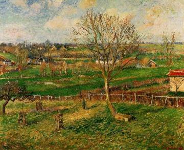 Landscape, Fields, Eragny Artwork by Camille Pissarro
