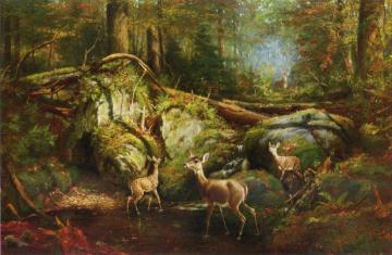 Deer in the Adirondacks Artwork by Arthur Fitzwilliam Tait